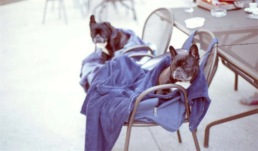 Rivian's Kick Turn: The Ultimate Off-Road Pivot Feature Explained